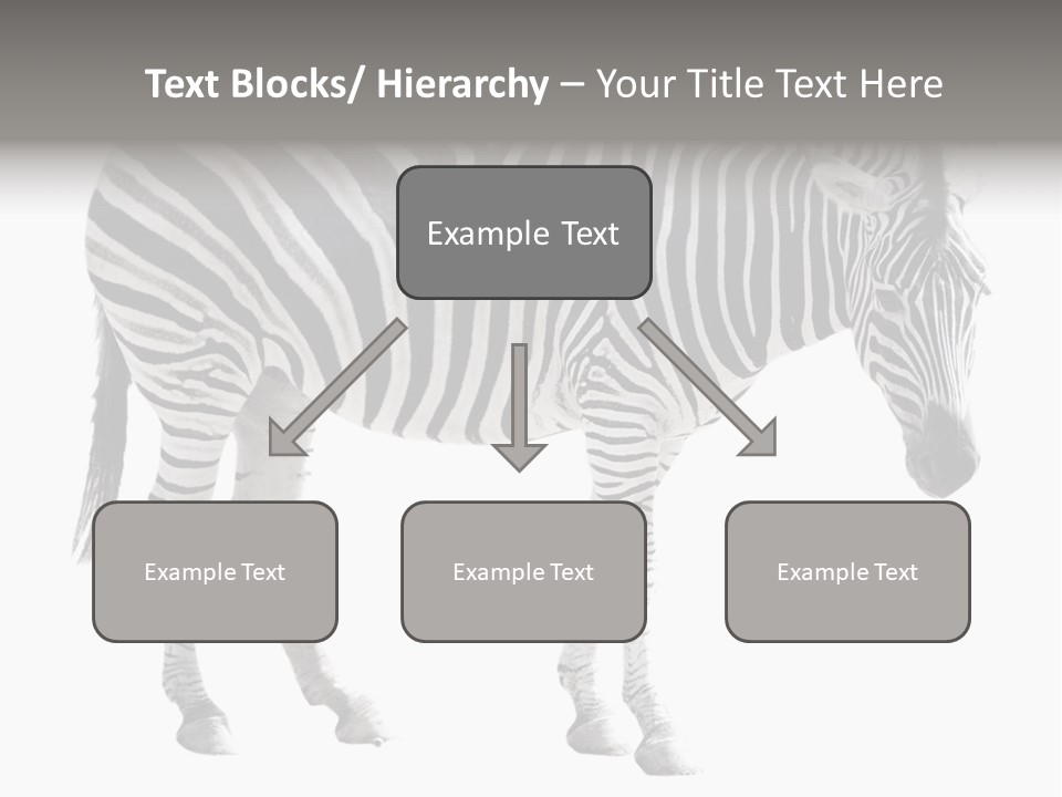 Drink Fat Vegetables PowerPoint Template