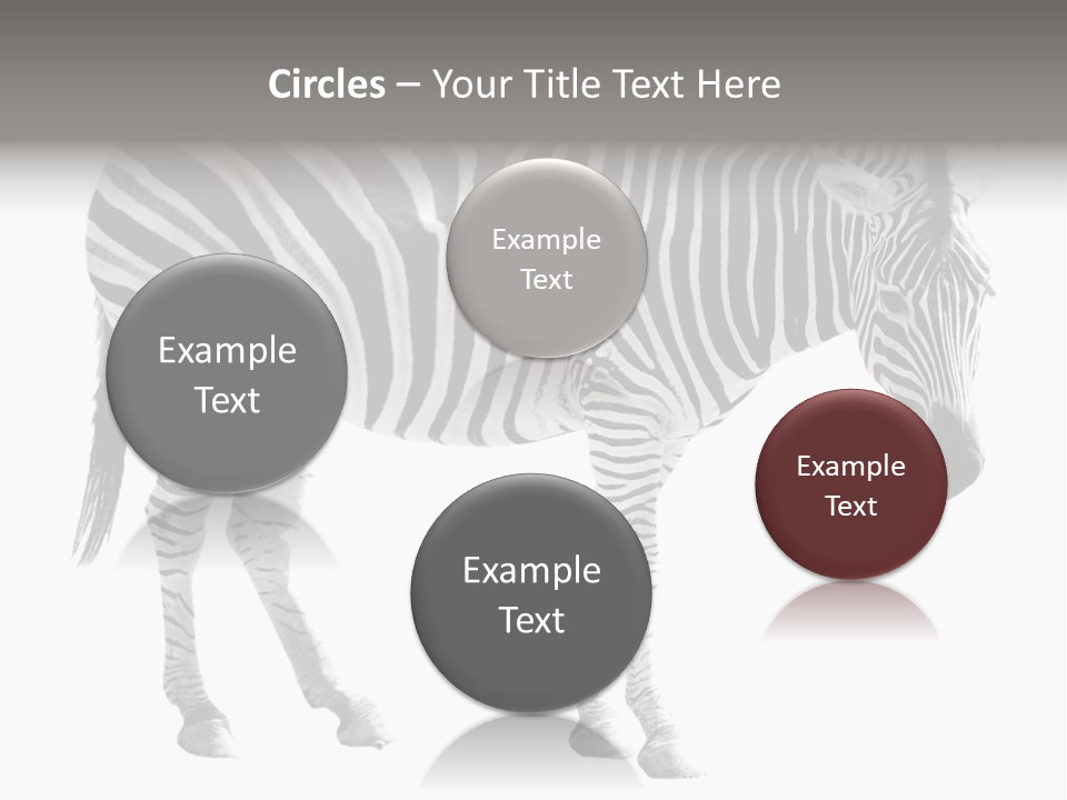 Drink Fat Vegetables PowerPoint Template