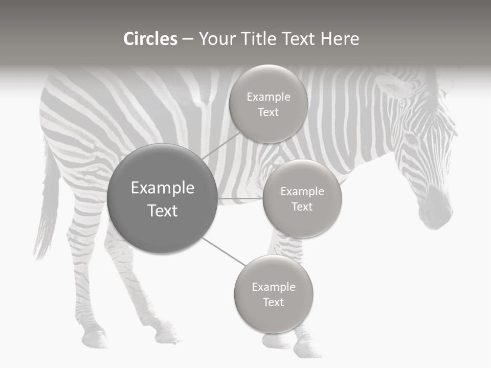 Drink Fat Vegetables PowerPoint Template