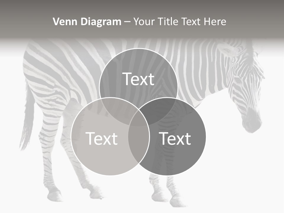 Drink Fat Vegetables PowerPoint Template