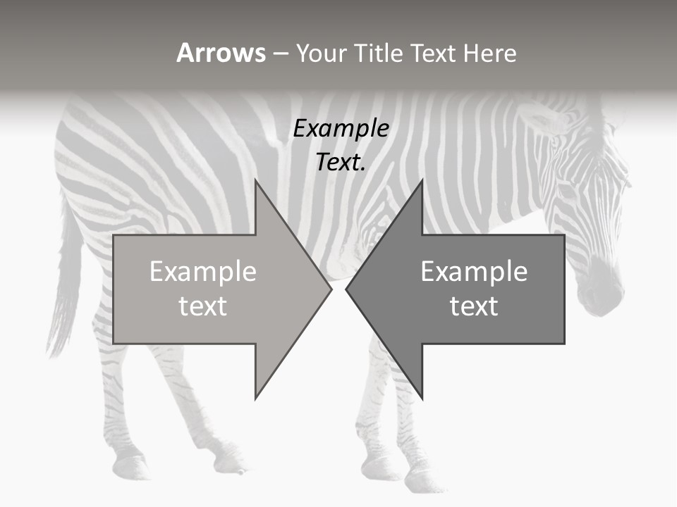 Drink Fat Vegetables PowerPoint Template