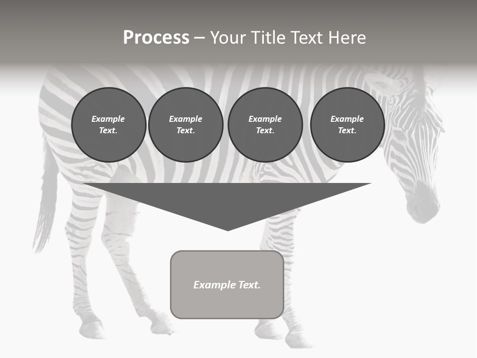 Drink Fat Vegetables PowerPoint Template