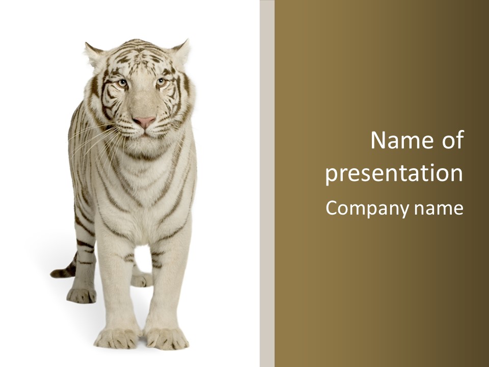 Majestic Cat Animal PowerPoint Template