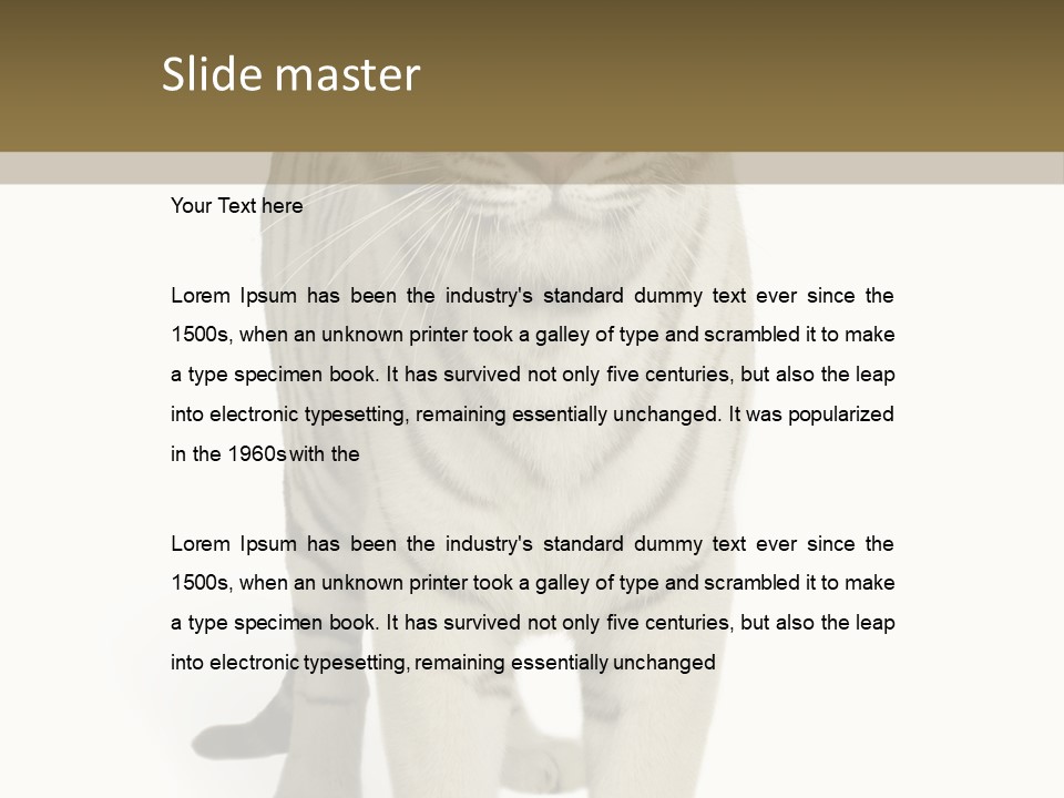 Majestic Cat Animal PowerPoint Template