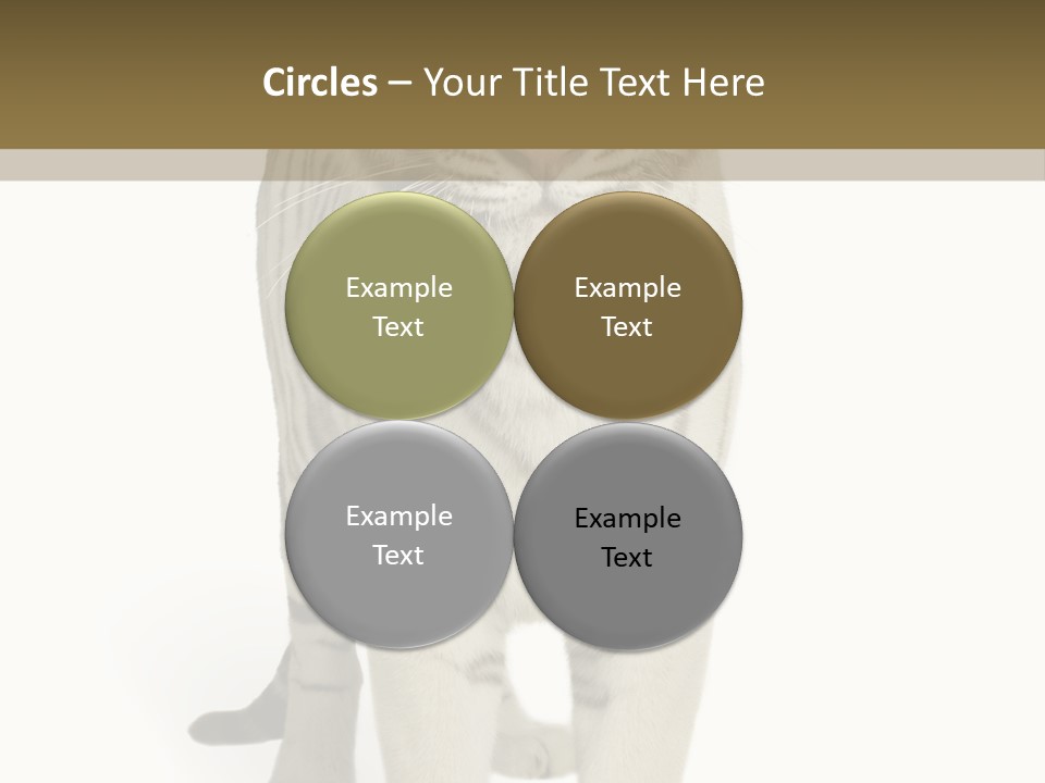 Majestic Cat Animal PowerPoint Template
