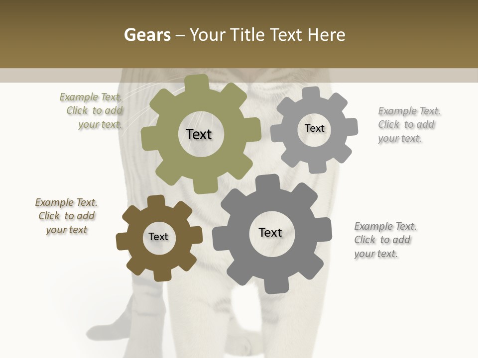 Majestic Cat Animal PowerPoint Template