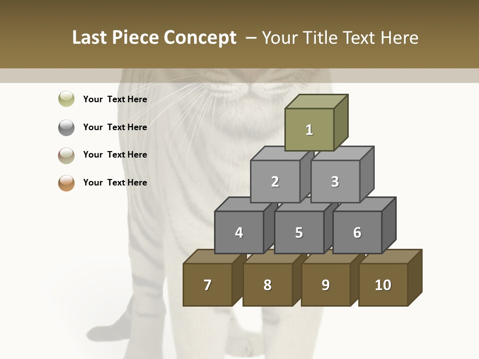 Majestic Cat Animal PowerPoint Template