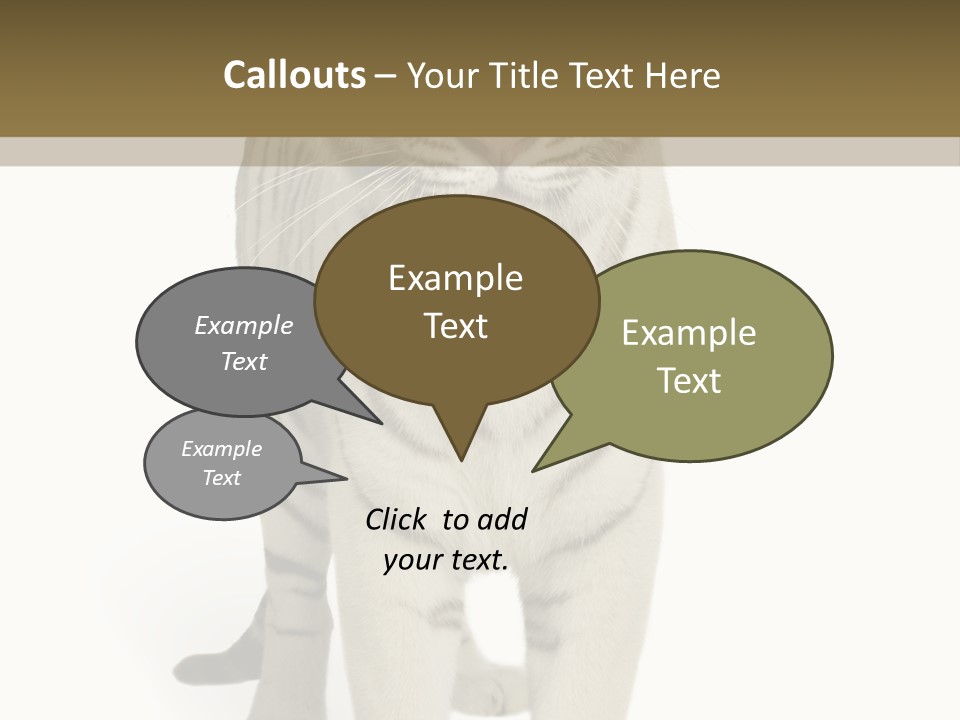 Majestic Cat Animal PowerPoint Template