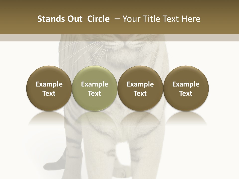 Majestic Cat Animal PowerPoint Template