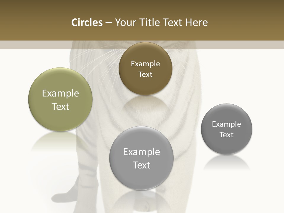 Majestic Cat Animal PowerPoint Template