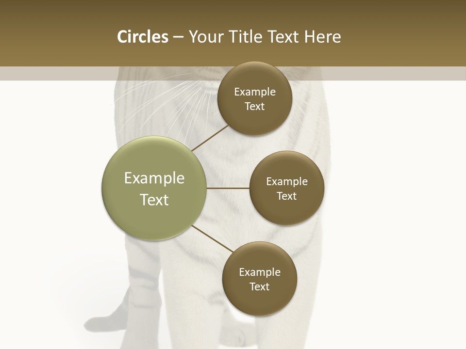 Majestic Cat Animal PowerPoint Template
