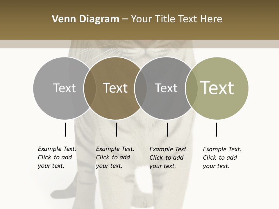 Majestic Cat Animal PowerPoint Template
