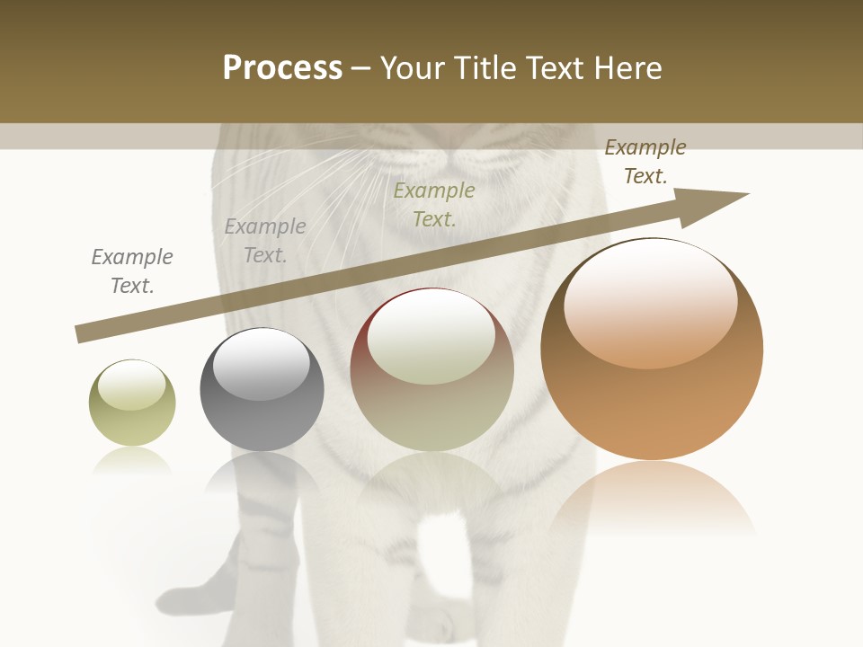 Majestic Cat Animal PowerPoint Template