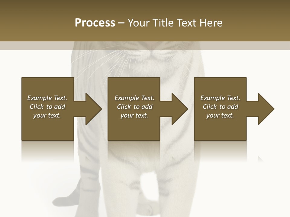 Majestic Cat Animal PowerPoint Template