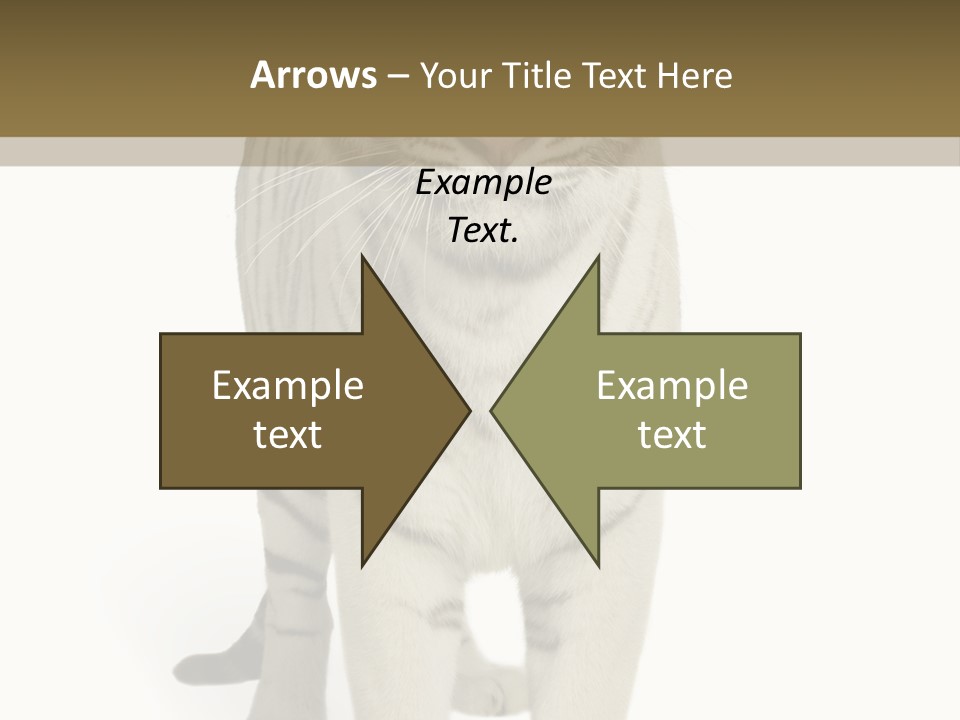 Majestic Cat Animal PowerPoint Template
