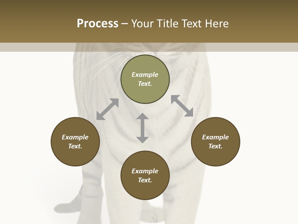 Majestic Cat Animal PowerPoint Template