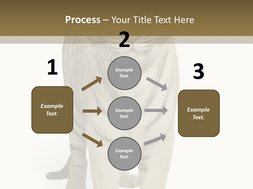 Majestic Cat Animal PowerPoint Template
