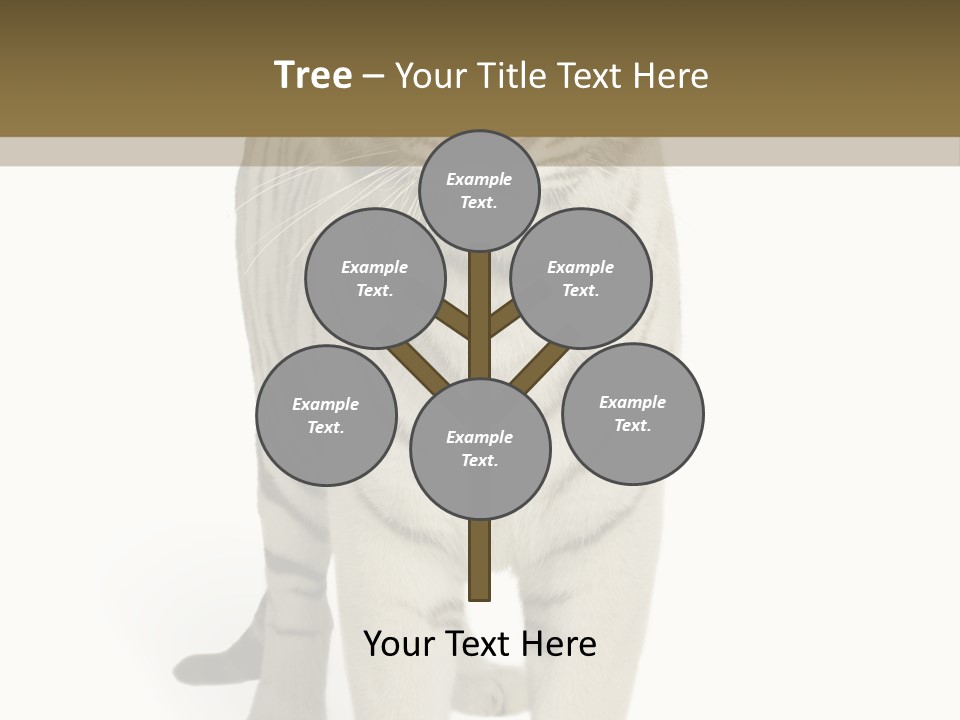 Majestic Cat Animal PowerPoint Template