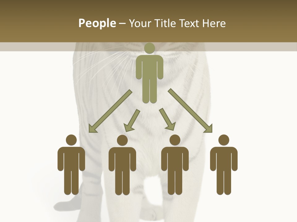 Majestic Cat Animal PowerPoint Template