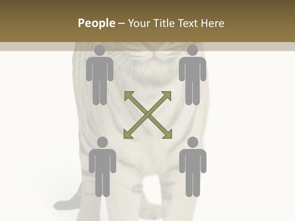 Majestic Cat Animal PowerPoint Template