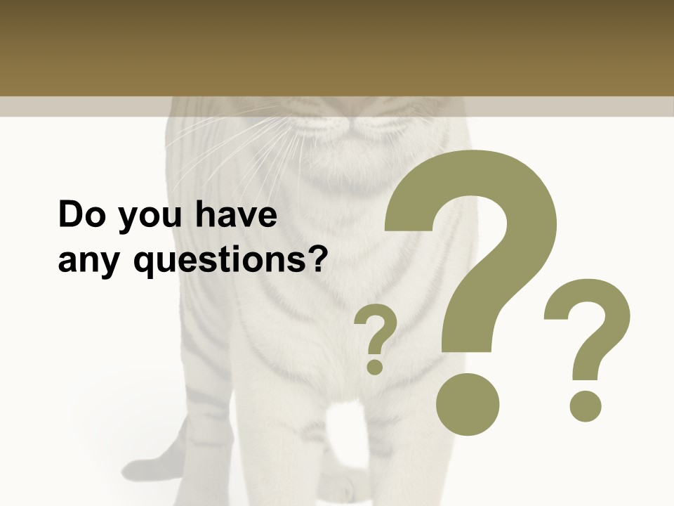 Majestic Cat Animal PowerPoint Template