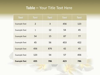 Harmonie Buddha Boudha PowerPoint Template