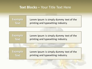 Harmonie Buddha Boudha PowerPoint Template