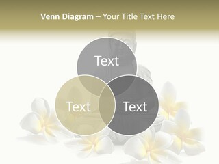 Harmonie Buddha Boudha PowerPoint Template