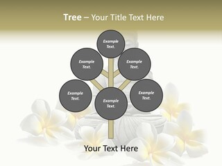 Harmonie Buddha Boudha PowerPoint Template
