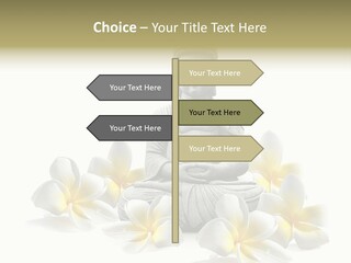 Harmonie Buddha Boudha PowerPoint Template