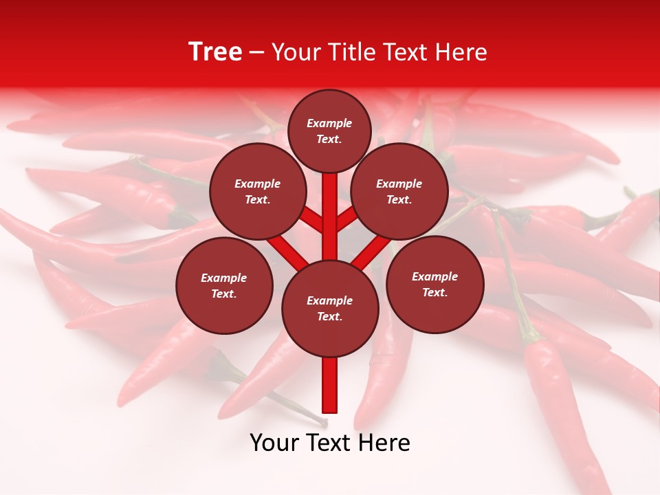 Schote Asien Chili PowerPoint Template