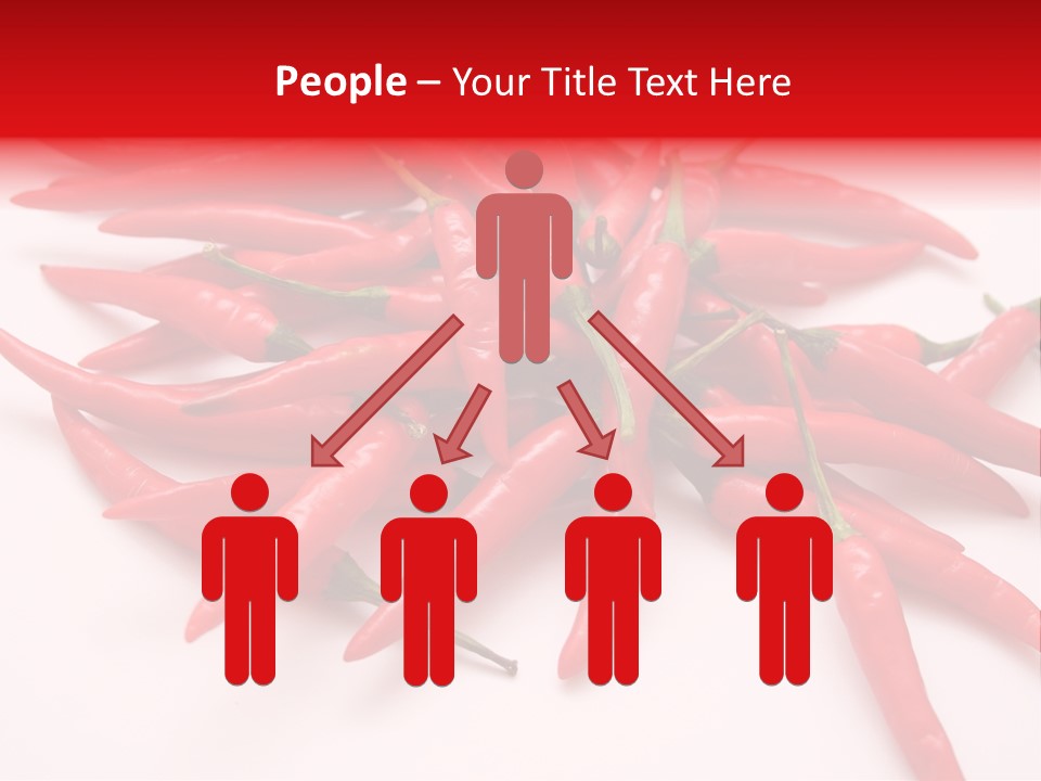 Schote Asien Chili PowerPoint Template