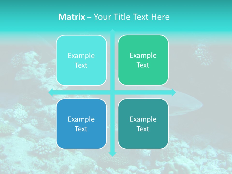 Fotosub Buceo Oceania PowerPoint Template