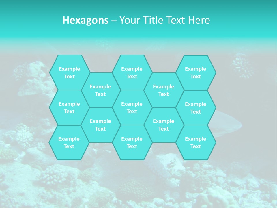 Fotosub Buceo Oceania PowerPoint Template