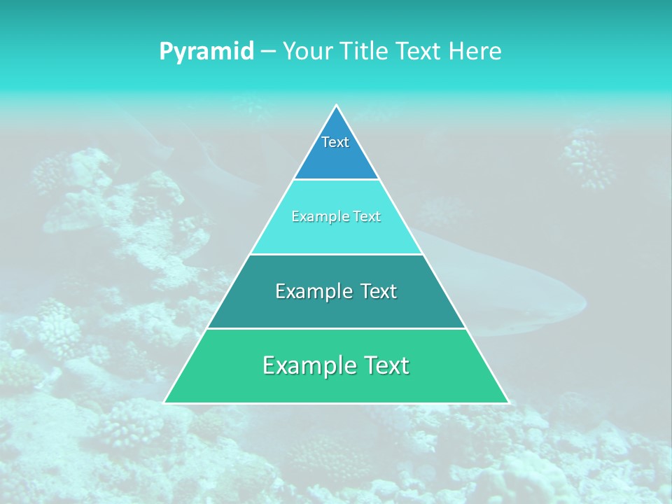 Fotosub Buceo Oceania PowerPoint Template