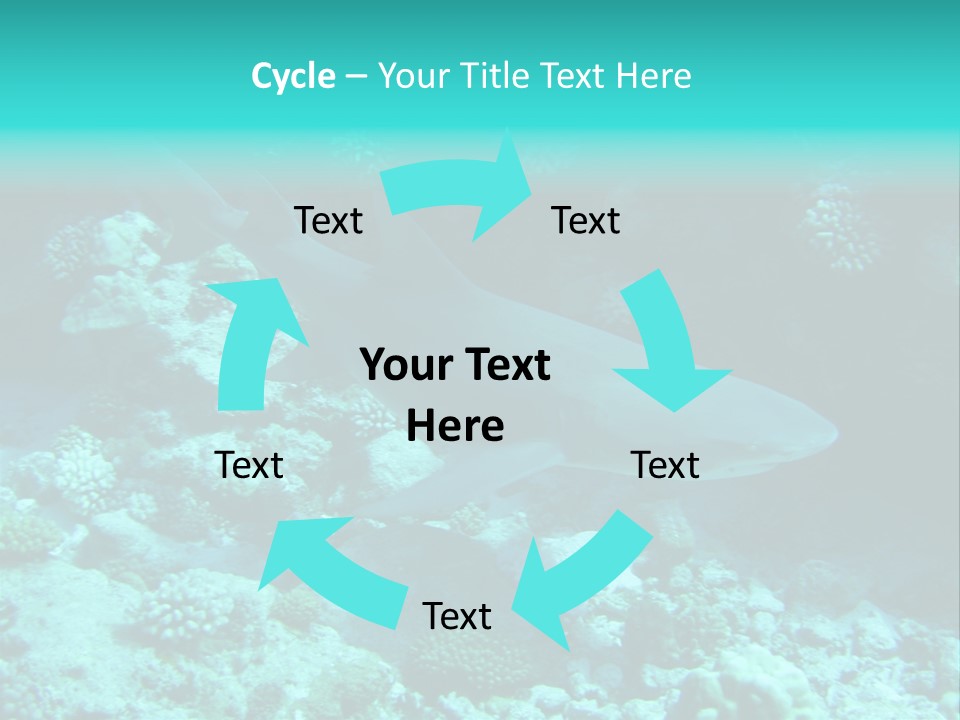 Fotosub Buceo Oceania PowerPoint Template