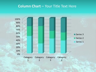 Fotosub Buceo Oceania PowerPoint Template