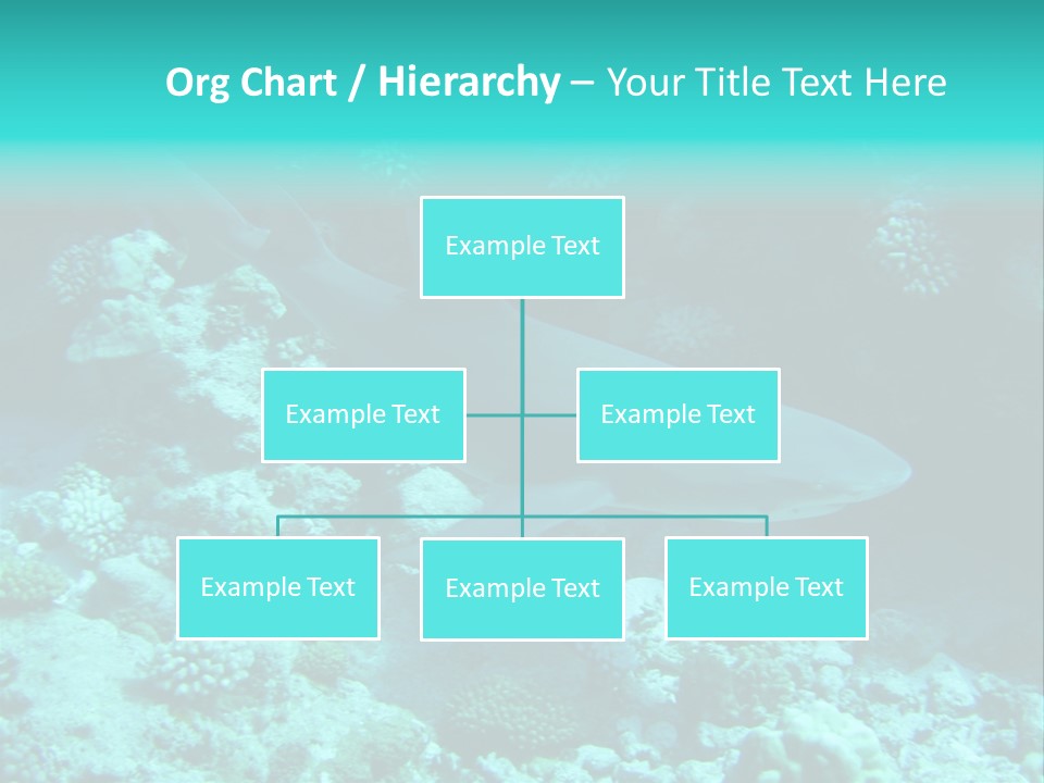 Fotosub Buceo Oceania PowerPoint Template