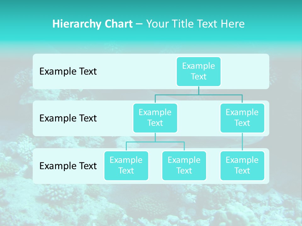 Fotosub Buceo Oceania PowerPoint Template