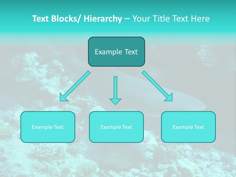 Fotosub Buceo Oceania PowerPoint Template