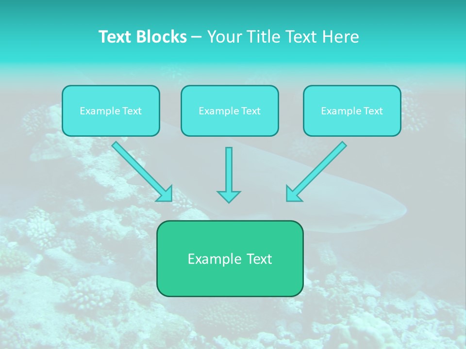 Fotosub Buceo Oceania PowerPoint Template