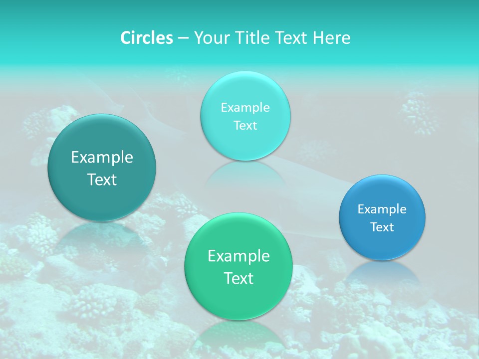 Fotosub Buceo Oceania PowerPoint Template