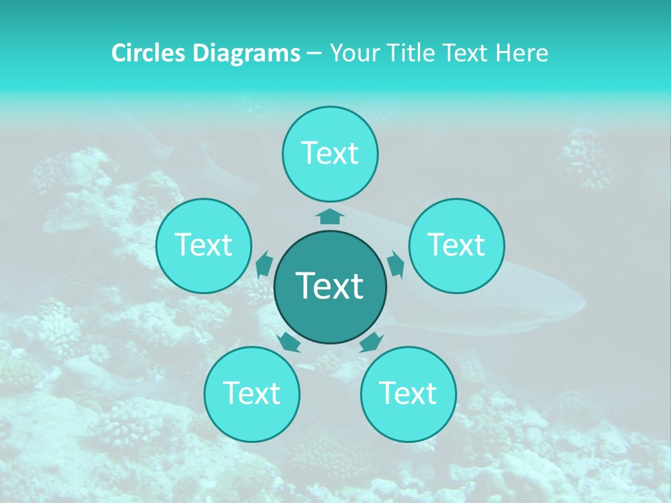 Fotosub Buceo Oceania PowerPoint Template