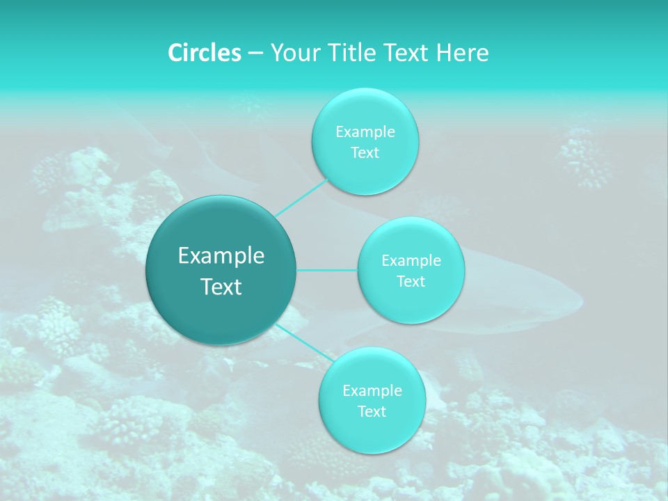 Fotosub Buceo Oceania PowerPoint Template