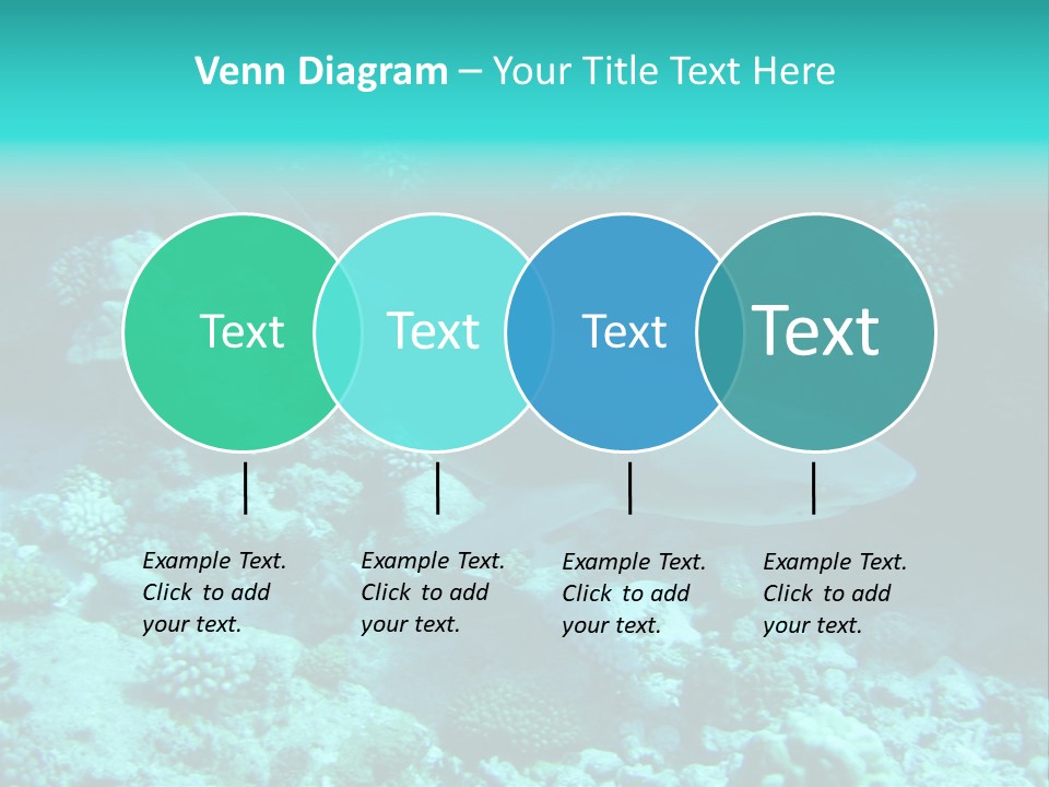 Fotosub Buceo Oceania PowerPoint Template