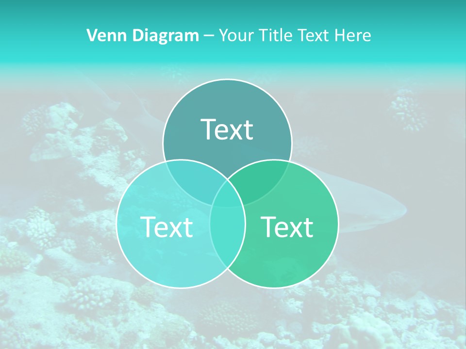 Fotosub Buceo Oceania PowerPoint Template