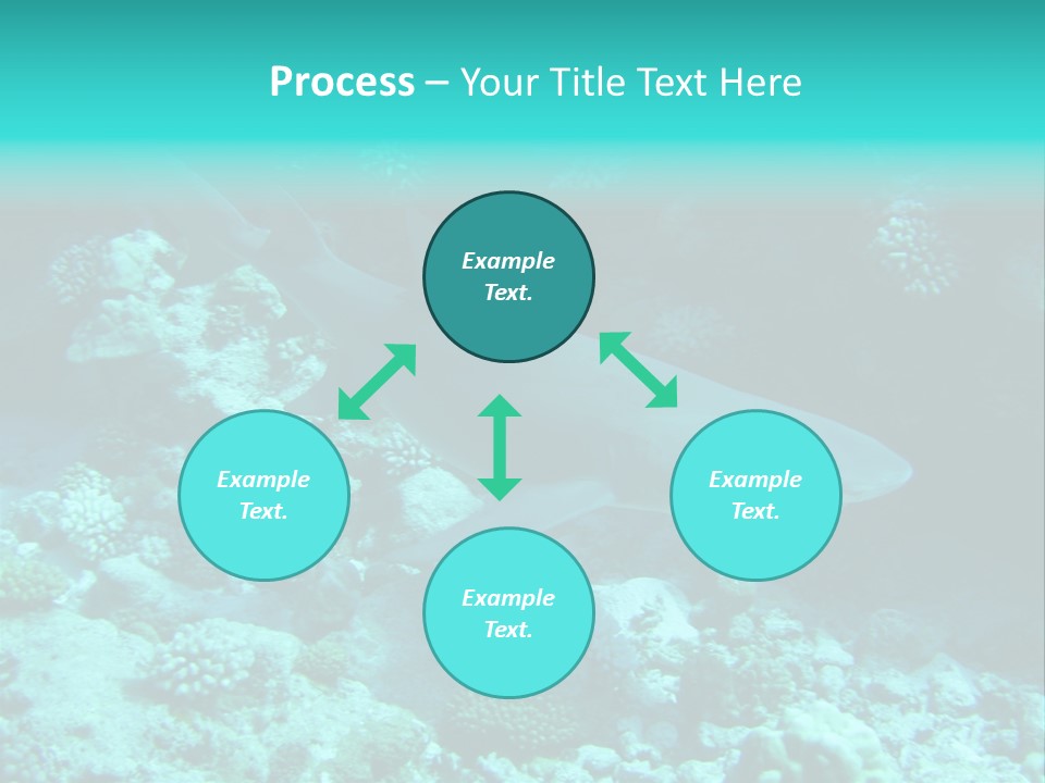 Fotosub Buceo Oceania PowerPoint Template