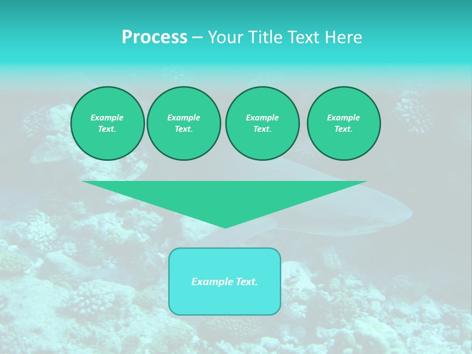 Fotosub Buceo Oceania PowerPoint Template