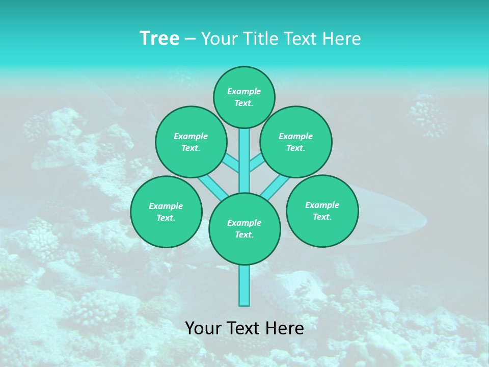 Fotosub Buceo Oceania PowerPoint Template