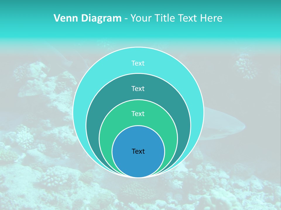 Fotosub Buceo Oceania PowerPoint Template